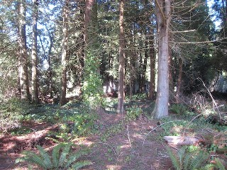 Picture of Point Roberts Parcel Number 415335-133048